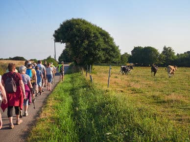 Sentier de randonnée en Bretagne — illustration de la saison estivale